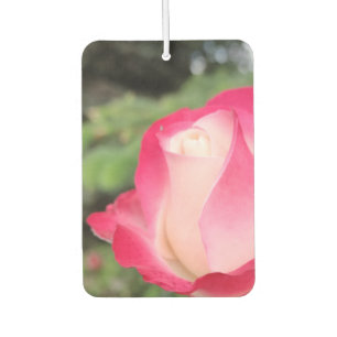 Rosa Rosenblüten-Luftverbesserer Autolufterfrischer