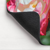 Rosa Rosenblüten Mousepad (Ecke)