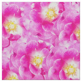 Rosa Rosenblütenmuster Stoff (Nahaufnahme)