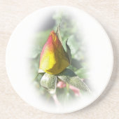 Rosa Rosenbude Getränkeuntersetzer (Vorne)