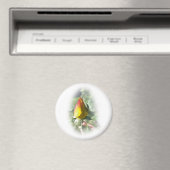 Rosa Rosenbude Magnet (In Situ (Geschirrspüler))