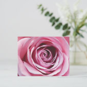 Rosa Rosendetails, Frühlingsromantik Blume Postkarte (Stehend Vorderseite)