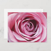 Rosa Rosendetails, Frühlingsromantik Blume Postkarte (Vorne/Hinten)