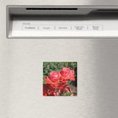 Rosa Rosendruckmagnet Magnet (In Situ (Geschirrspüler))