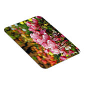Rosa Rosendruckmagnet Magnet (Rechte Seite)