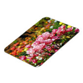 Rosa Rosendruckmagnet Magnet (Linke Seite)