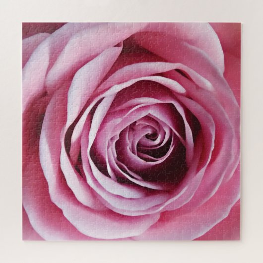 Rosa Rosenfrühlinggarten Blume Romantik Puzzle (Horizontal)