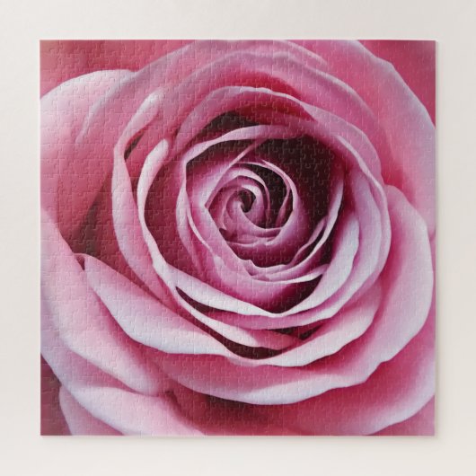 Rosa Rosenfrühlinggarten Blume Romantik Puzzle (Vertikal)