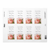 Rosa Rosenknospe bearbeitet Save the Date Labels (Vorne)