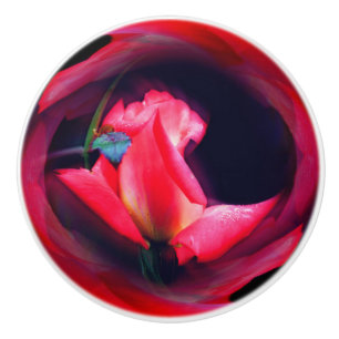 Rosa Rosenknospe florale Abstrakte Kunst Keramikknauf