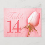 Rosa Rosenknospe Hochzeit Tischnummer 10-39 Postka<br><div class="desc">Doppelseitige Single rosa Rosa Bud Hochzeitsempfang Tischnummer Postcard passt zur Hochzeitseinladung unten gezeigt. Sie müssen die Nummer zu jeder gewünschten Nummer ändern und jeden Warenkorb einzeln hinzufügen. *Bitte beachten Sie den Link unten für Tischnummern unter 10. Mengenrabatte können gewährt werden, wenn Sie alle Artikel in Ihren Warenkorb legen. Wenn Sie...</div>