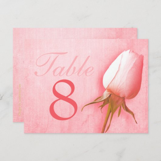 Rosa Rosenknospe Hochzeit Tischnummer 1-9 Postkart (Vorne/Hinten)