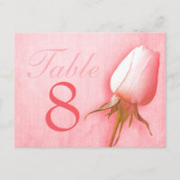 Rosa Rosenknospe Hochzeit Tischnummer 1-9 Postkart