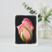 Rosa Rosenknospe mit Extravagantem Rand Postkarte (Stehend Vorderseite)