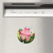 Rosa Rosenmagnet Magnet (In Situ (Geschirrspüler))