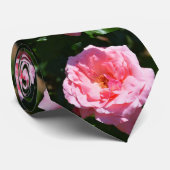 Rosa Rosenmode Krawatte (Gerollt)