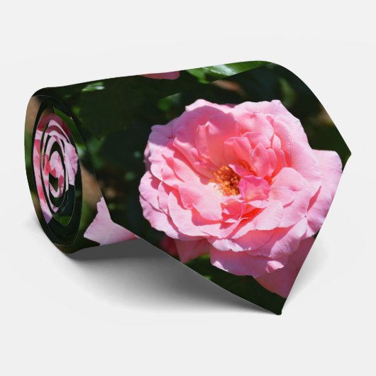 Rosa Rosenmode Krawatte (Gerollt)