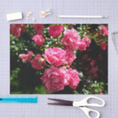 Rosa Rosenpapier Seidenpapier (Handwerk)