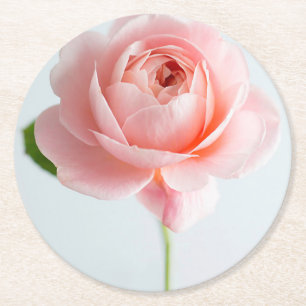 Rosa Rosenpapier Untersetzer