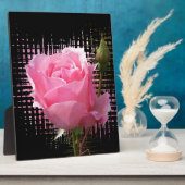 Rosa Rosenspritze Fotoplatte (Seite)