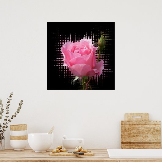 Rosa Rosenspritze Poster (Küche)