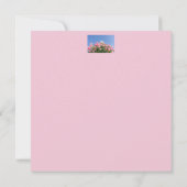 Rosa Rosenstrauch unter blauem Himmel, Brauch (Rückseite)