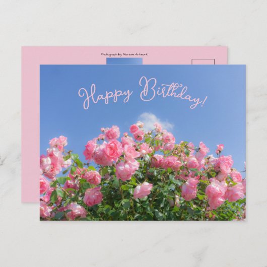 Rosa Rosenstrauch unter blauem Himmel, Brauch Postkarte (Vorne/Hinten)