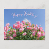 Rosa Rosenstrauch unter blauem Himmel, Brauch Postkarte (Vorderseite)