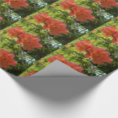 Rosa Roses Blume Foto Wrapping Paper Geschenkpapier (Ecke)