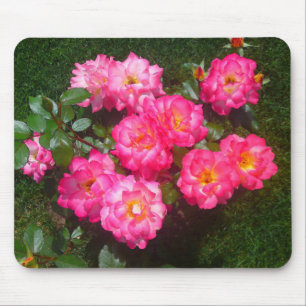 Rosa Roses Blume Patch Mousepad