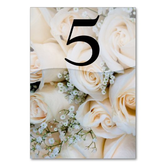 Rosa Roses Gipskraut Tischnummer Card (Vorderseite)