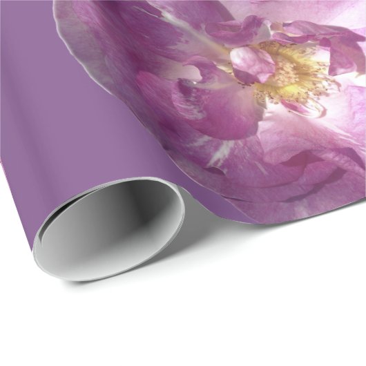 Rosa Roses glänzendes Wrapping Paper Geschenkpapier (Rolleneckpunkt)