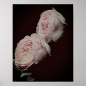 Rosa Roses Pair Poster (Vorne)