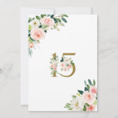 Rosa Roses Quinceañera Geburtstag Einladung Blush (Rückseite)