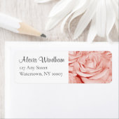 Rosa Roses Rücksendeadresse (Insitu)