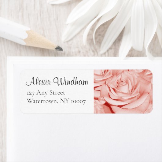 Rosa Roses Rücksendeadresse (Insitu)