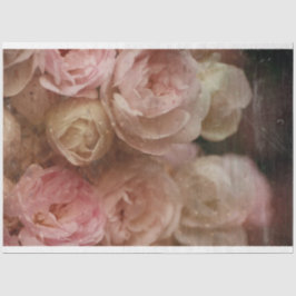 rosa Roses - Tissue Paper Seidenpapier