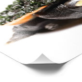 Rosa Rotzunge Sideneck Turtle Fotodruck (Ecke)