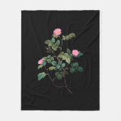 Rosa Rubiginos Fleecedecke (Vorderseite)