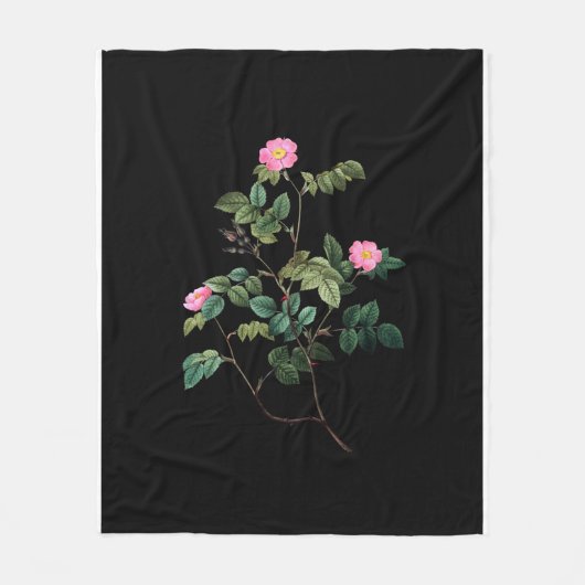 Rosa rubiginosa fleecedecke (Vorderseite)