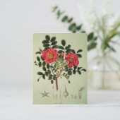 Rosa rugosa, aus "Flora Japonica" Postkarte (Stehend Vorderseite)