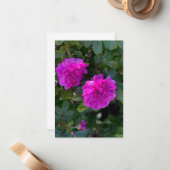Rosa Rugosa Mitteilungskarte (Vorderseite/Rückseite Beispiel)