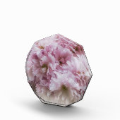 Rosa Rüschen Fotoblock (Rechts)