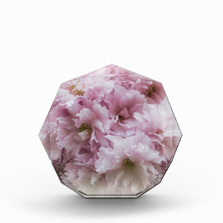 Rosa Rüschen Fotoblock