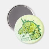Rosa Ryokko Magnet (Vorderseite/Rückseite)