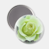 Rosa Ryokko Magnet (Vorderseite/Rückseite)
