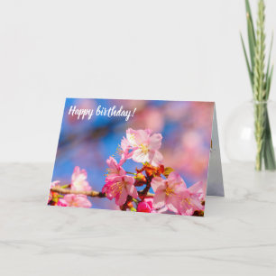 Rosa Sakura blüht an einem sonnigen Frühlingstag Karte