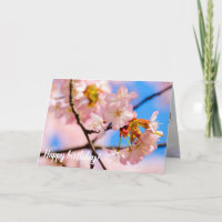 Rosa Sakura-Blume an einem warmen Tag der Springze