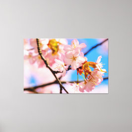 Rosa Sakura-Blume an einem warmen Tag der Springze Leinwanddruck