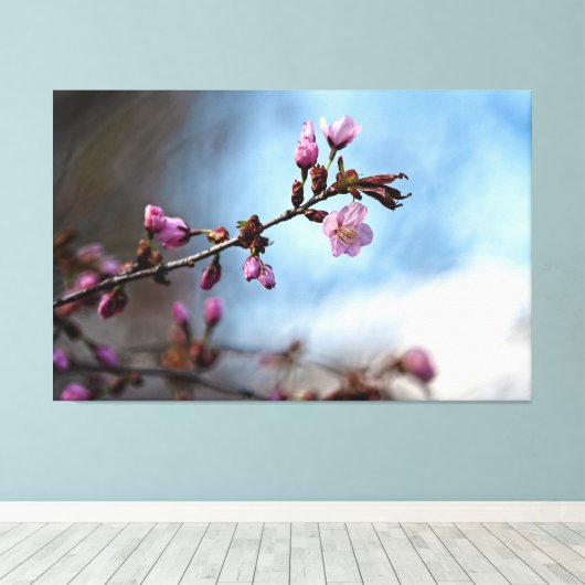 Rosa Sakura-Blume, Blauer Himmel, weiße Wolke Leinwanddruck (Insitu (Holzboden))